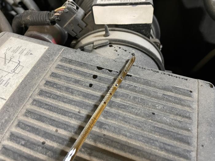 2003 chevrolet silverado-1500 ext.-cab-short-bed-4wd with 108914 miles for sale near elk-river, minnesota d2a67128211e43d4b8841d2e783878c2.jpeg