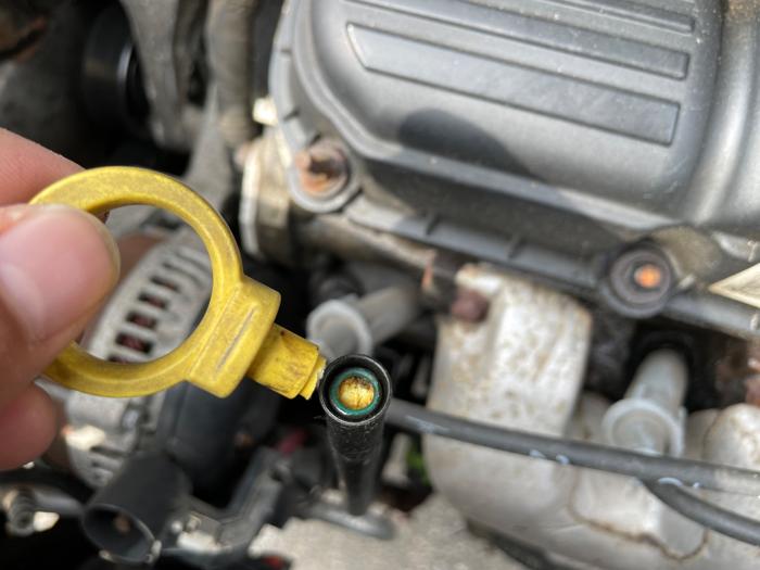 2005 dodge grand-caravan sxt with 72799 miles for sale near elk-river, minnesota d400eeb0faa34b75a440b44edfd47c9a.jpeg