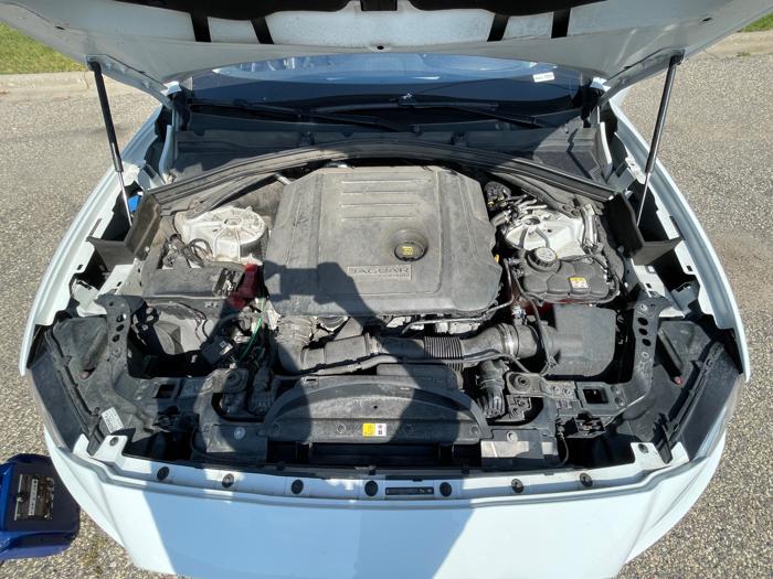 2017 jaguar f-pace 20d-prestige with 98437 miles for sale near burnsville, minnesota d49f9d740f1d48a3944fd569c6c53926.jpeg