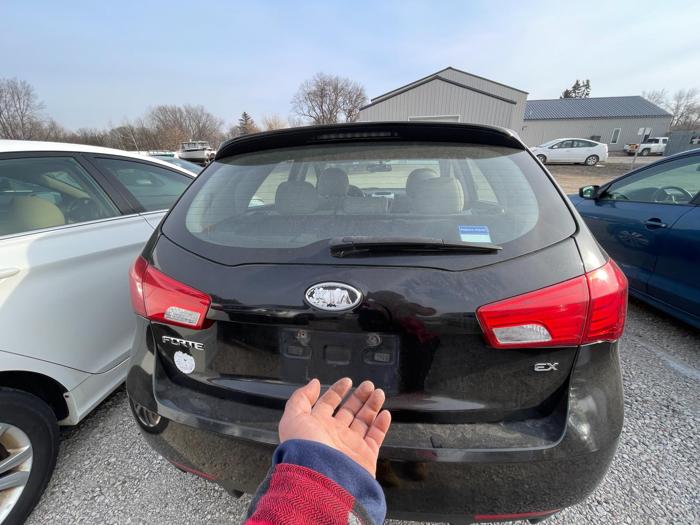 2013 kia forte ex with 209619 miles for sale near elk-river, minnesota d50f626d8bef48dda983d937e8a06dfe.jpg