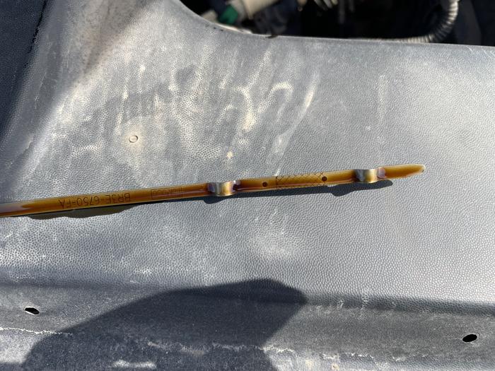 2015 ford expedition xl with 145346 miles for sale near clearwater, minnesota d8cb5a88a6224f8393f53584c199cde7.jpeg