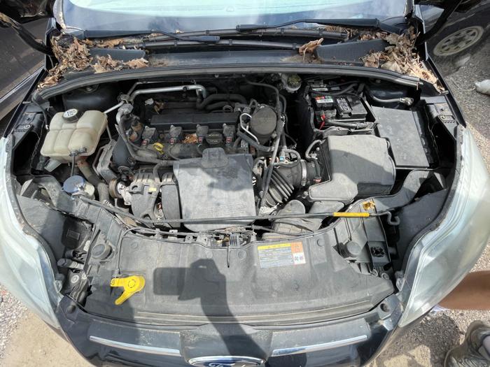 2013 Ford Focus