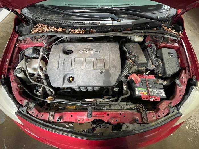 2009 toyota corolla le with 219297 miles for sale near elk-river, minnesota d99d7866efb04754907623ab2fcec2ff.jpg
