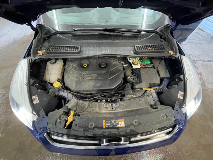 2013 ford escape titanium-fwd with 77554 miles for sale near elk-river, minnesota db30334a6bed4e5f9adc62606c3baf7c.jpeg