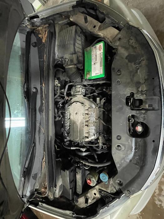2008 honda odyssey lx with 225481 miles for sale near elk-river, minnesota db86534550b64e38ad2fc3992579f5b9.jpg