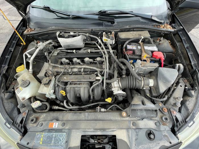 2011 ford focus ses-sedan with 127034 miles for sale near elk-river, minnesota dc8a23162dec4b9496d0425ad6ef7705.jpeg