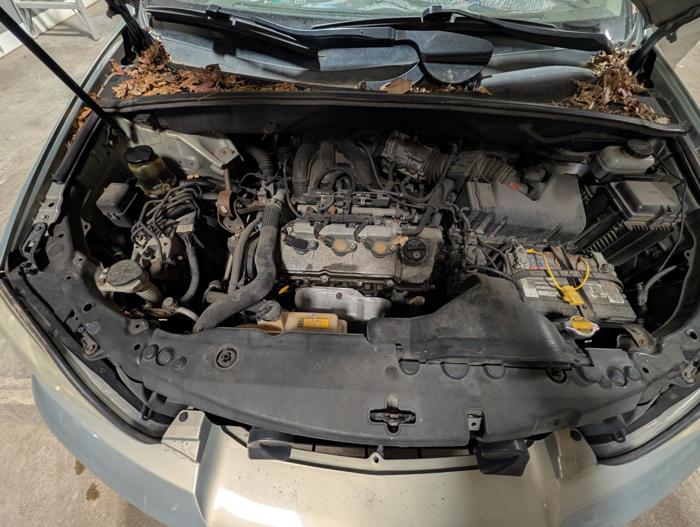2004 lexus rx-330 2wd with 194148 miles for sale near elk-river, minnesota de16b5444ec2496288e079eaa7f5b6a4.jpg