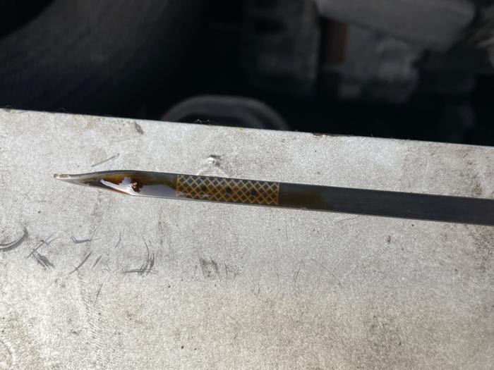 2013 chevrolet impala ls with 192979 miles for sale near elk-river, minnesota df9243f66c954201bfd83b3b3beb6a97.jpeg