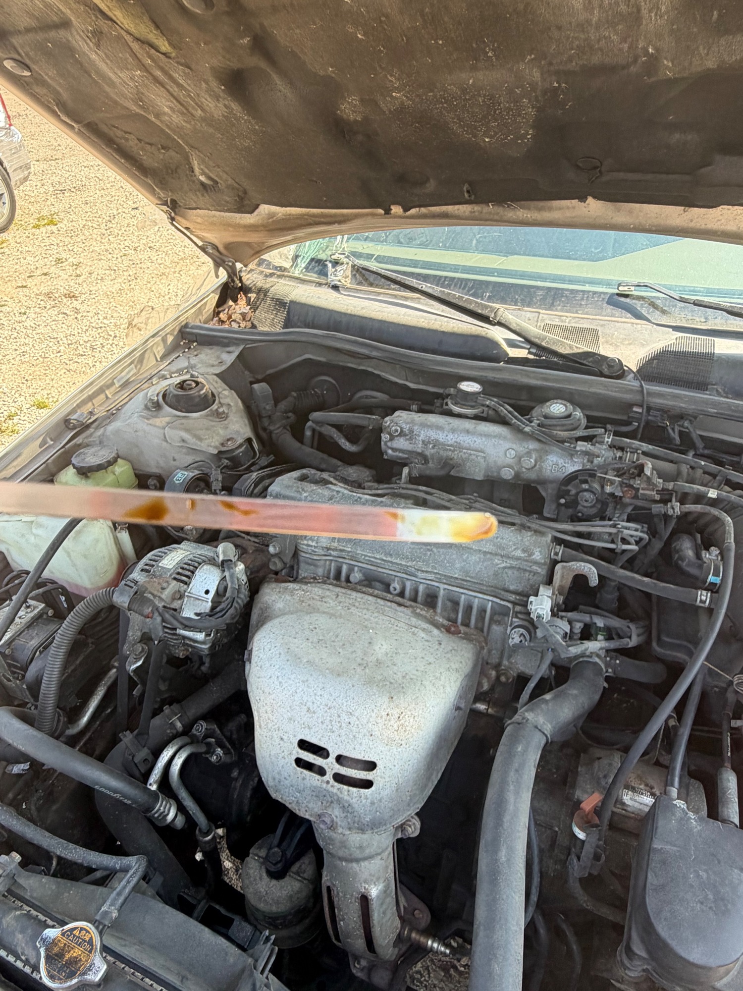 1999 toyota camry ce for sale near elk-river, minnesota e0cd1e6df0194eabae01bf02e2e01eb0.jpeg