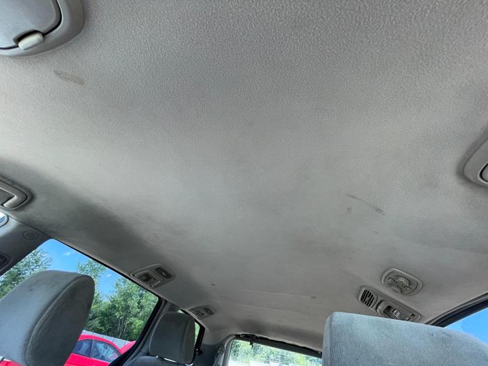 2009 Toyota Sienna