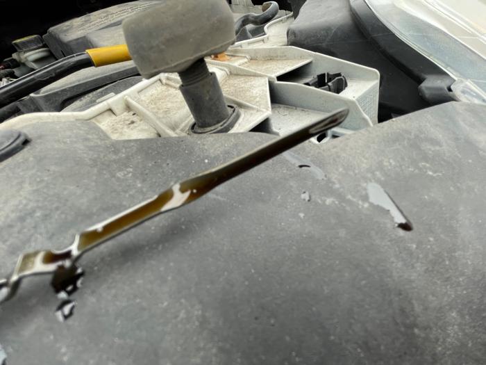 2013 ford focus se-hatch with 224685 miles for sale near elk-river, minnesota e3465a5250da41088928c99f99eb173a.jpeg