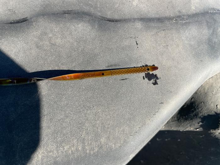 2005 ford f-150 xlt with 274535 miles for sale near fridley, minnesota e6917a610efa4f9195e15610a3293505.jpeg