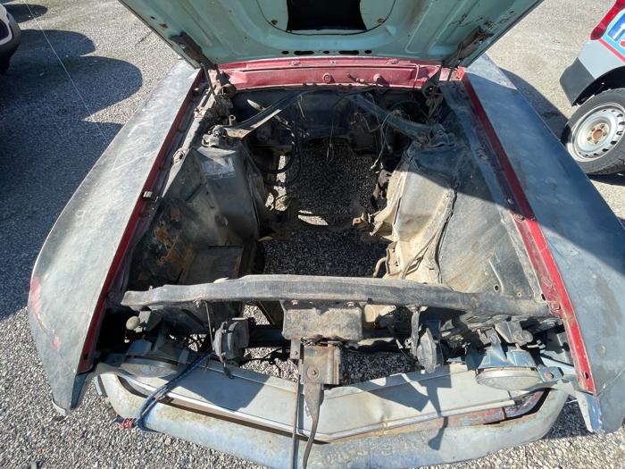 1969 ford mustang for sale near elk-river, minnesota ea5e8bdcd8114ad79c088c29e05c0b23.jpeg