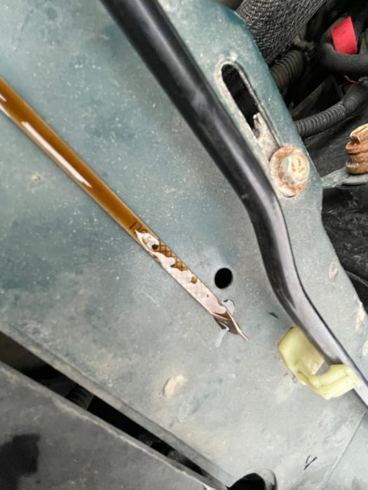 2000 chevrolet malibu base with 131558 miles for sale near elk-river, minnesota ea8a8086bb0c45adbd000dcad8e9294d.jpeg