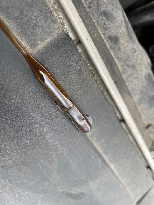 2019 ford fusion se with 170687 miles for sale near rice, minnesota eac1ea968ac040a8a8d1dea31817552d.jpeg