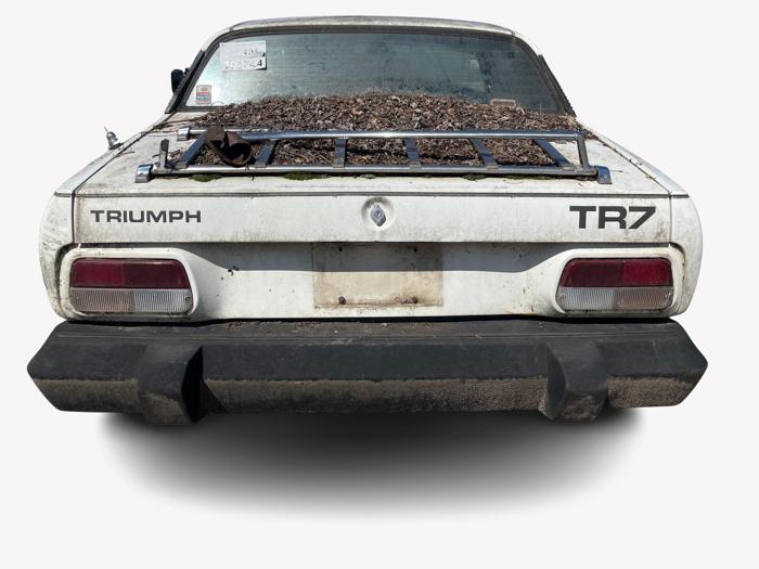 1979 Triumph TR7