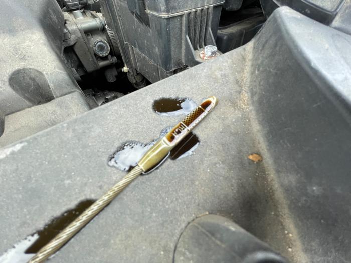 2011 honda odyssey ex-l with 266929 miles for sale near elk-river, minnesota eb0bd4ae41964b1f8dd7e54ec3adb803.jpeg