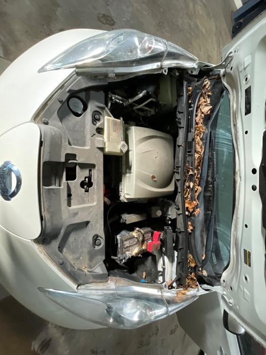 2016 nissan leaf sv with 38610 miles for sale near elk-river, minnesota ee0dafdd81fb4eee8050148c0d8510fd.jpeg