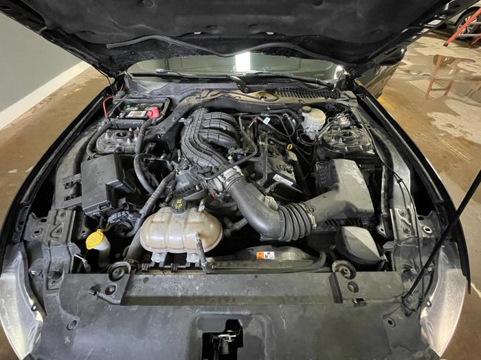 2016 ford mustang v6 with 118041 miles for sale near elk-river, minnesota f1991e0464b84c54841606832c6eeec2.jpg