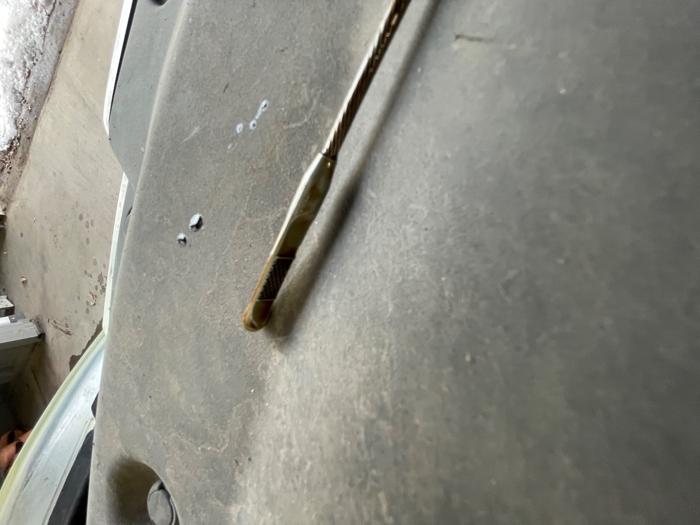 2006 honda odyssey ex with 231924 miles for sale near elk-river, minnesota f1b4a814da764417a93f51769d69c9dd.jpeg