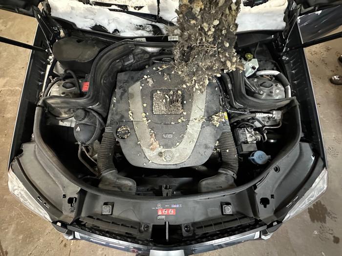 2011 mercedes-benz glk-class glk350-4matic with 132238 miles for sale near elk-river, minnesota f2b0af03f49548bf8ed90af005eafe15.jpeg