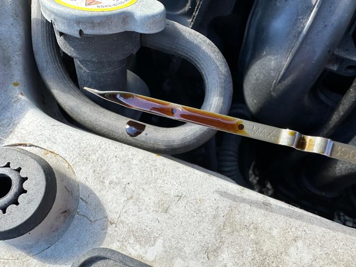 2008 ford focus ses-sedan with 170842 miles for sale near elk-river, minnesota f2e0be0a3c324f55901a22fa15248b43.jpeg