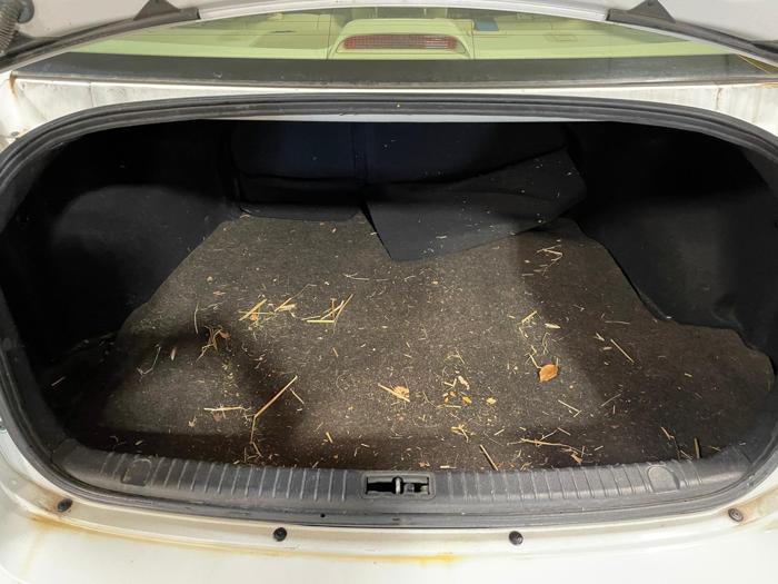 2009 hyundai sonata limited with 198144 miles for sale near elk-river, minnesota f3aa364c5a9a4ec19720a8a2ac047205.jpg