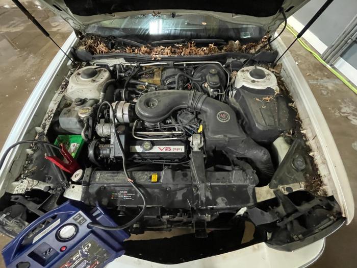 1995 cadillac deville with 172080 miles for sale near elk-river, minnesota f50205e666c5417ea9c17febff5bc762.jpg