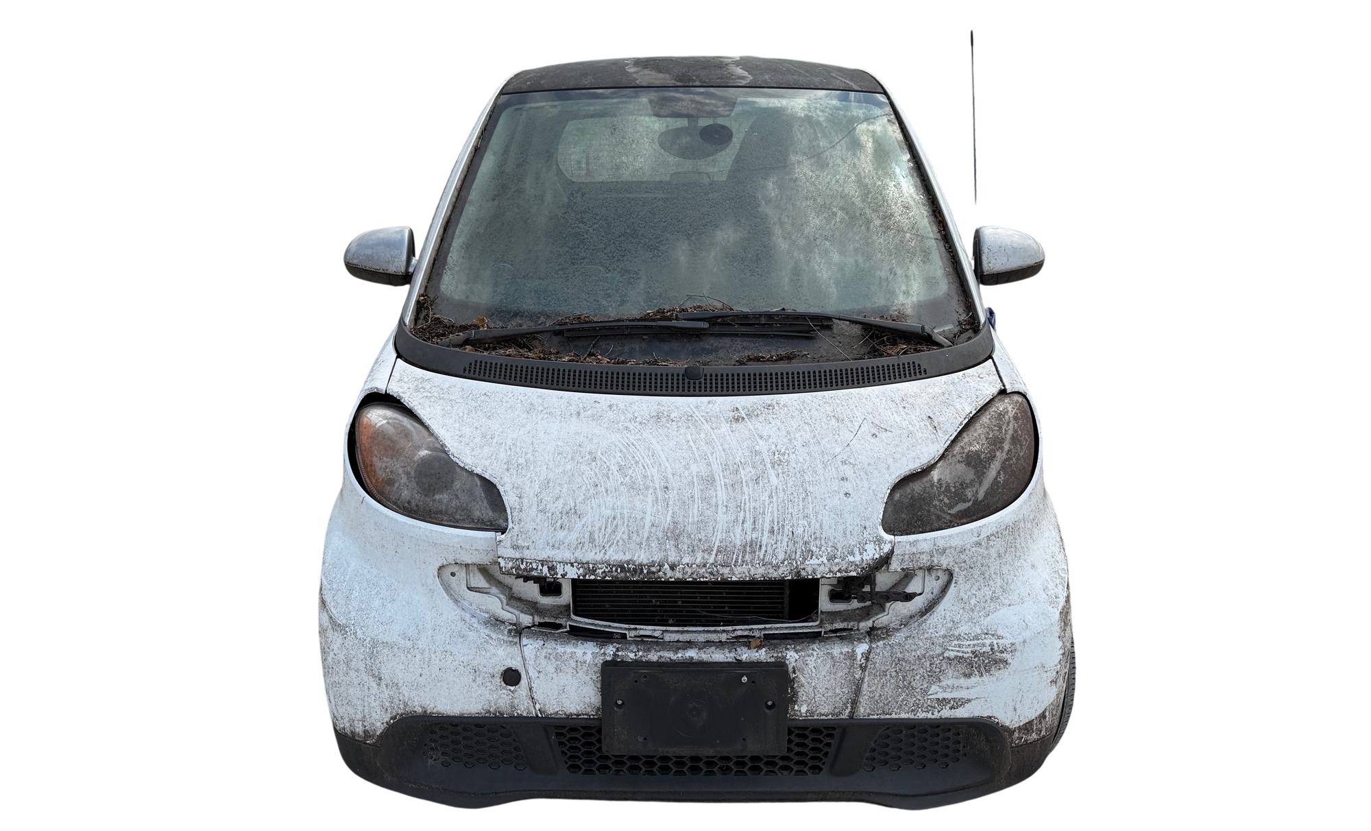 2013 smart fortwo passion for sale near elk-river, minnesota 106032_08_front_end.jpg