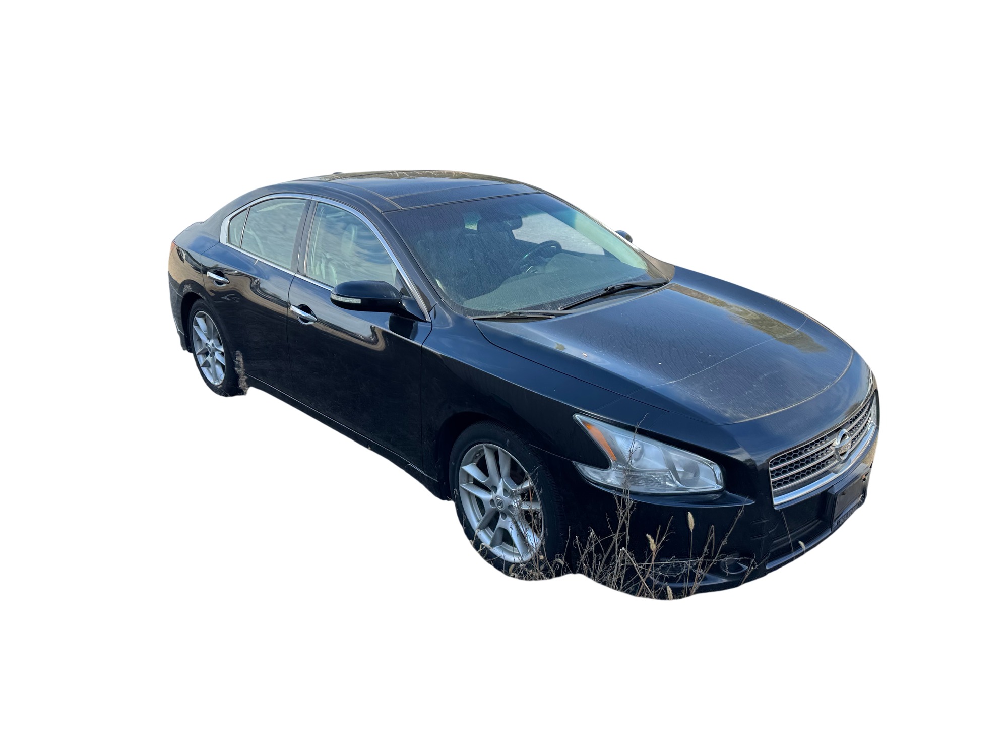 2011 nissan maxima sv for sale near Elk River, Minnesota 106882_07_pass_front_corner.jpg