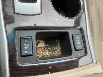 2015 nissan altima 2.5-s with 132672 miles for sale near elk-river, minnesota 020369b2068e495ca819b8d4efd6b559.jpeg