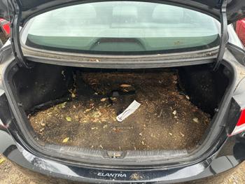 2013 hyundai elantra limited with 182716 miles for sale near elk-river, minnesota 0226fdac6c5f46fe8a0f6c565c2ae5b8.jpg