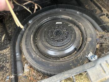 2014 ford focus se-hatch for sale near elk-river, minnesota 02b28f9d8dc046a383fe1c33028fcf31.jpeg