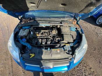 2014 ford focus se-hatch with 100642 miles for sale near elk-river, minnesota 049013a0b46f48348a1668275e125b28.jpeg