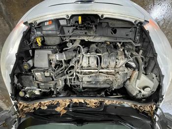 2012 ford fiesta ses with 187957 miles for sale near elk-river, minnesota 0742e06486c04f38a36d555e8cb69606.jpg