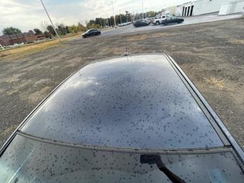 2016 chevrolet cruze-limited 1lt-auto with 151883 miles for sale near hastings, minnesota 077cc612ddd44d41bfacf2c0f0ee81d7.jpeg