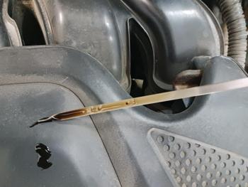 2011 hyundai sonata gls-auto with 219831 miles for sale near elk-river, minnesota 0853e045bb52447f9de65915cafcb1b6.jpg