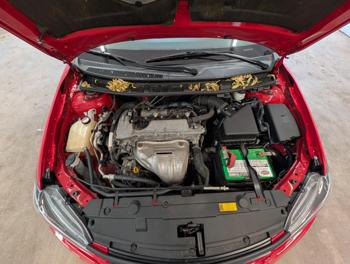 2015 scion tc with 80250 miles for sale near elk-river, minnesota 09c4ad020fb445b69bd416404fca8538.jpg