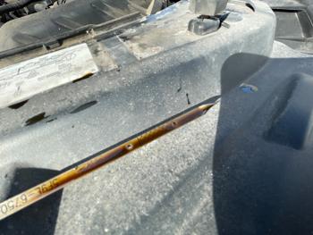 2005 ford five-hundred with 220887 miles for sale near elk-river, minnesota 0b3d5290e179447bbf4c8f8ffd2564e1.jpeg