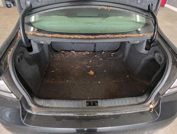 2008 saab 9-3 2.0t with 164934 miles for sale near elk-river, minnesota 0c53e608f34a4a2ca521c5dcd58cf1e9.jpg