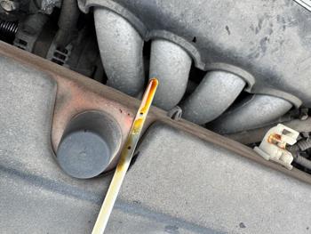 2006 honda element ex-p-4wd-at with 204695 miles for sale near elk-river, minnesota 0c6197bf4b9d4140b75ca42b879c55ea.jpg