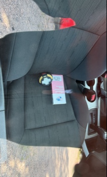 2011 ford focus se-sedan for sale near elk-river, minnesota 106223_31_passenger_seat.jpg