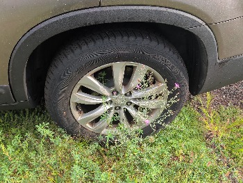 2011 kia sorento with 209211 miles for sale near elk-river, minnesota 106321_13_rear_drv_wheel.jpg