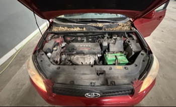 2007 toyota rav4 sport-i4-4wd with 155480 miles for sale near elk-river, minnesota 106343_49_engine_bay.jpg