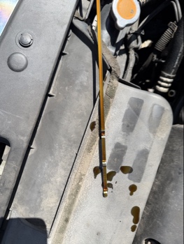 2006 nissan maxima se with 134407 miles for sale near elk-river, minnesota 106396_50_oil_dipstick.jpg