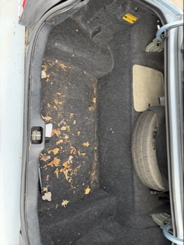 2007 ford crown-victoria lx with 175864 miles for sale near elk-river, minnesota 106403_26_trunk.jpg