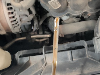 2010 honda accord ex-l-sedan-at with 248021 miles for sale near elk-river, minnesota 106426_50_oil_dipstick.jpg