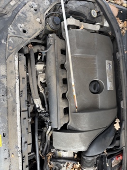 2008 volvo s80 t6 with 159537 miles for sale near elk-river, minnesota 106448_50_oil_dipstick.jpg