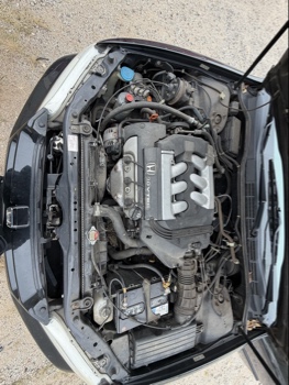 1998 honda accord ex-v6-sedan with 156885 miles for sale near elk-river, minnesota 106451_49_engine_bay.jpg