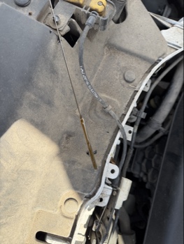 2015 ford escape se-4wd with 166884 miles for sale near elk-river, minnesota 106510_50_oil_dipstick.jpg